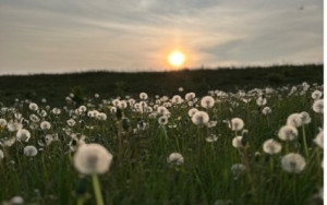 Que faire à Chamrousse en été : aventures et découvertes