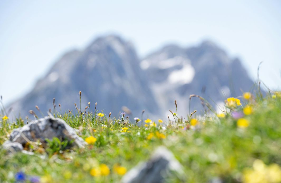 Chamrousse au printemps
